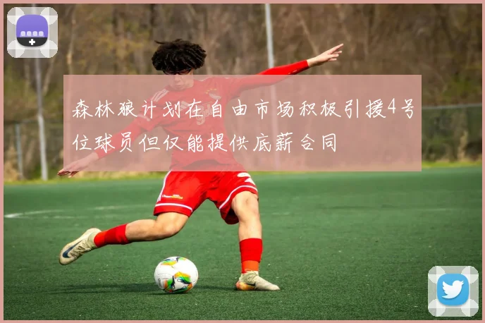 森林狼计划在自由市场积极引援4号位球员但仅能提供底薪合同